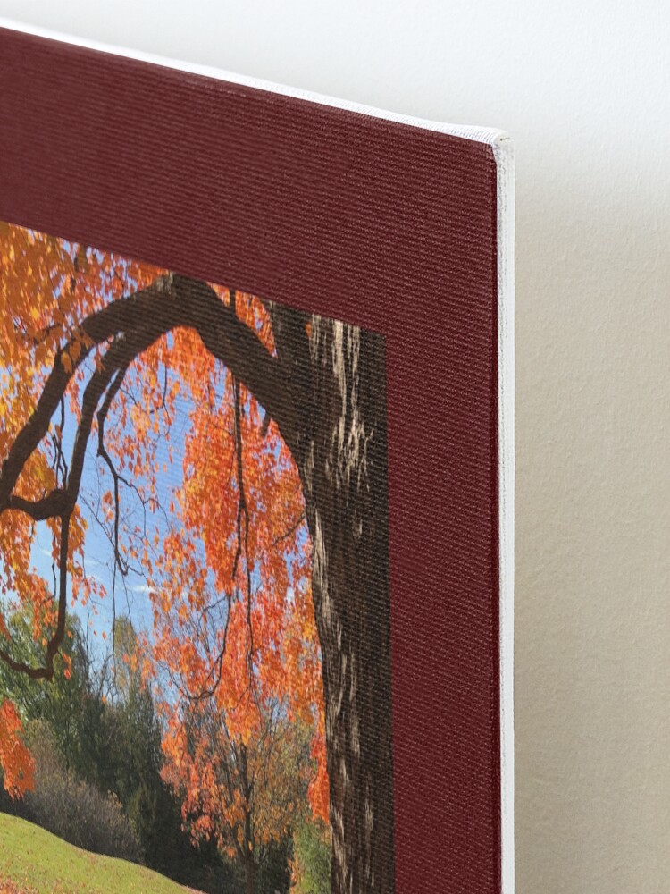 Alternate view of Orange tree, fall, fall colors, bathroom decor, Mounted Print