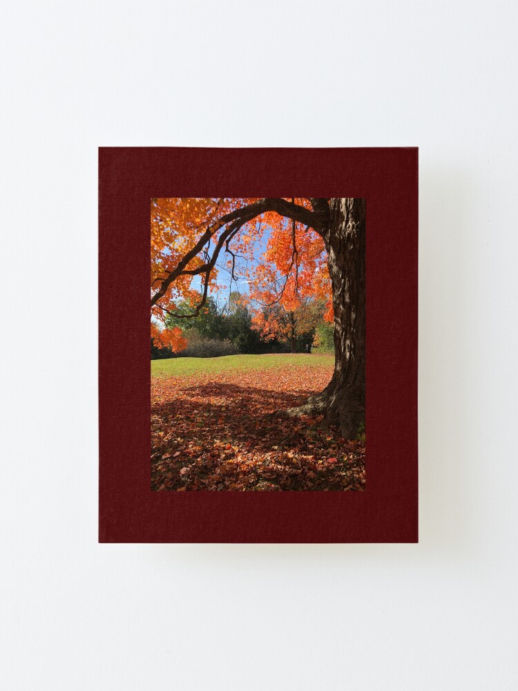 Alternate view of Orange tree, fall, fall colors, bathroom decor, Mounted Print