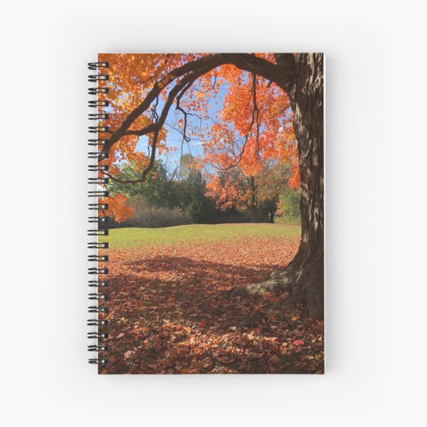Item preview, Orange tree, fall, fall colors, bathroom decor,  designed and sold by PicsByMi.