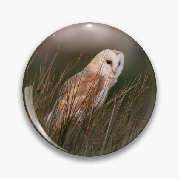 Item preview, barn owl designed and sold by tammy mellor.