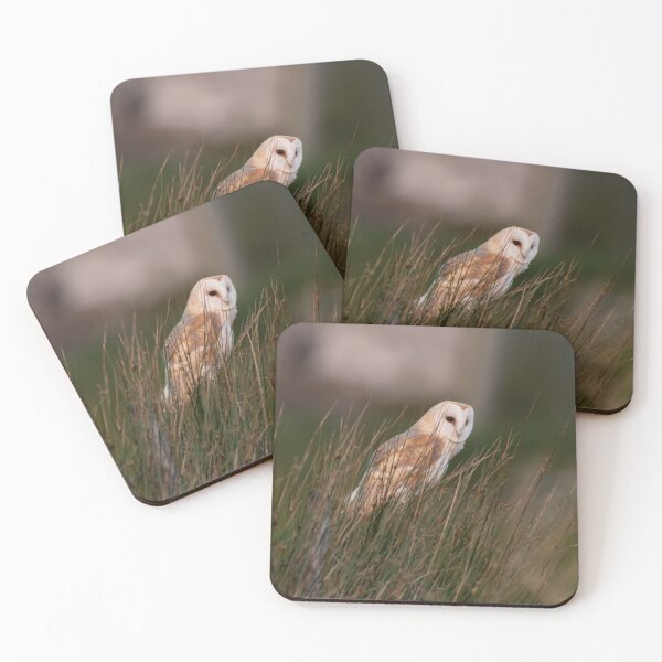 Item preview, barn owl designed and sold by tammy mellor.