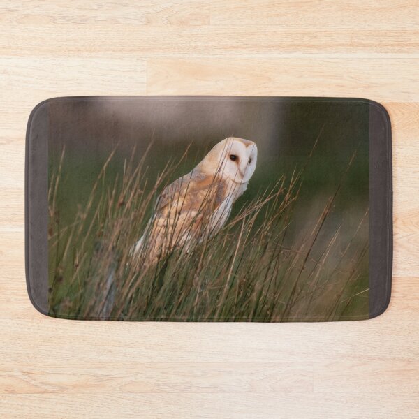 Item preview, barn owl designed and sold by tammy mellor.