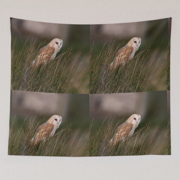 Item preview, barn owl designed and sold by tammy mellor.