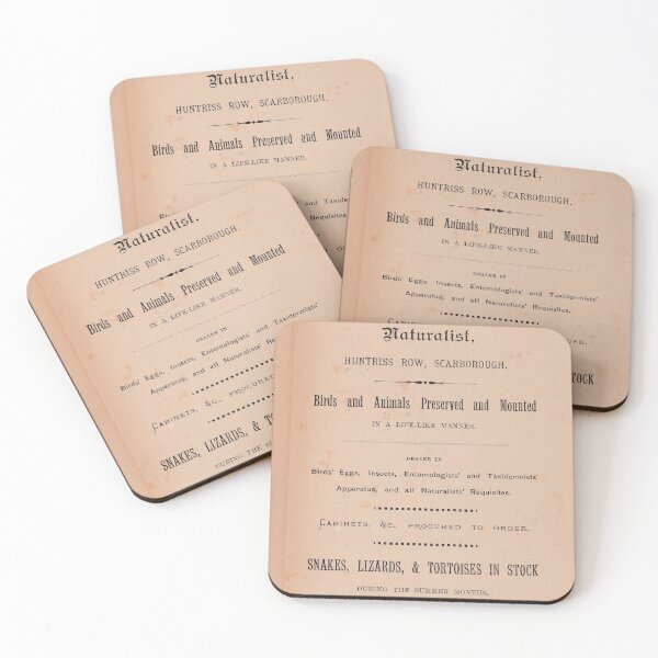 Item preview, Edwardian Naturalist Advert designed and sold by AscotSteve.