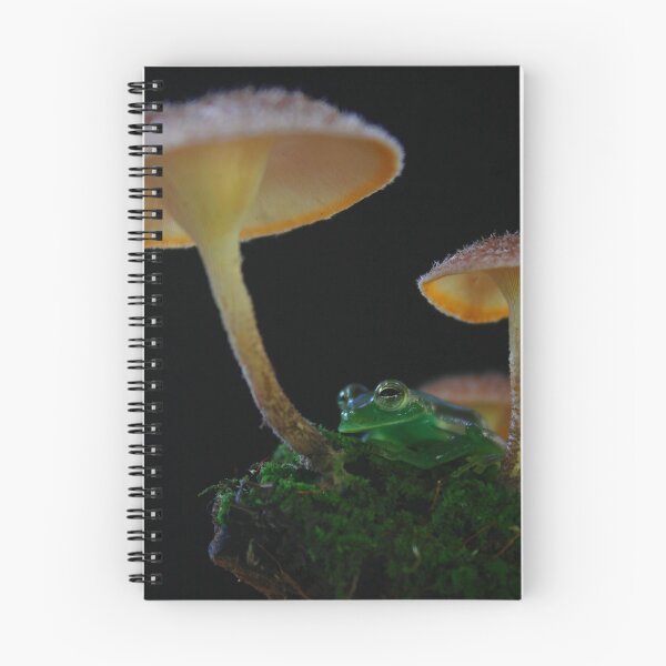 Item preview, Frog under Mushrooms designed and sold by JoseAndresRojas.