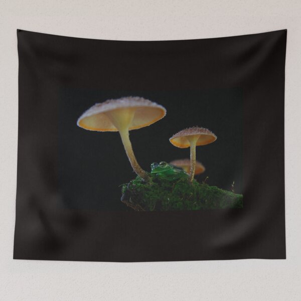 Item preview, Frog under Mushrooms designed and sold by JoseAndresRojas.