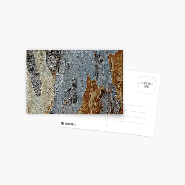 Barking Up The Wrong Tree Postcard