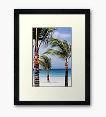 Dance of the Palm Trees Framed Print