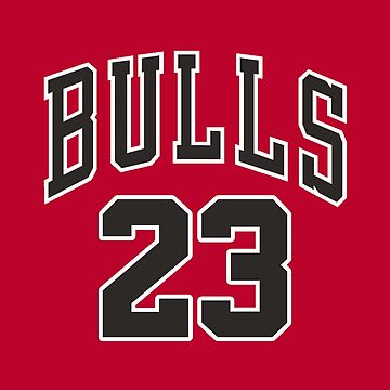 chicago bulls 23