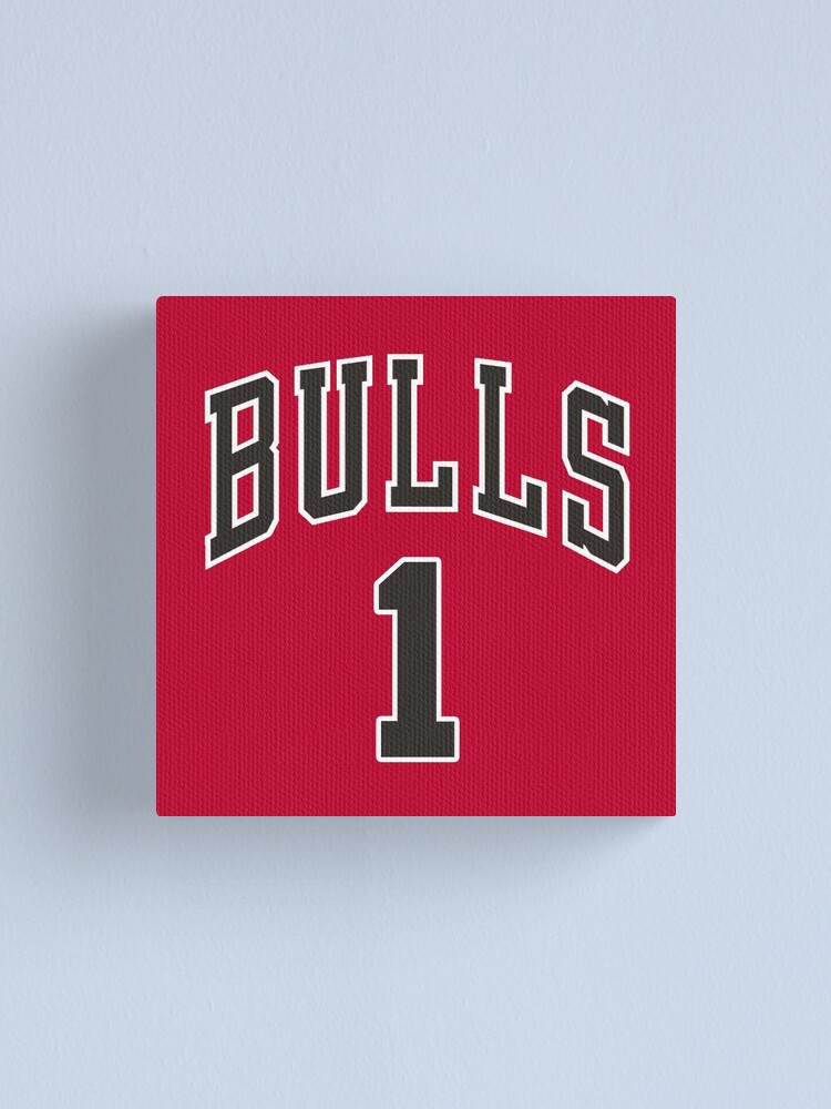 Derrick Rose Bulls Jersey - Derrick Rose Chicago Bulls Jersey