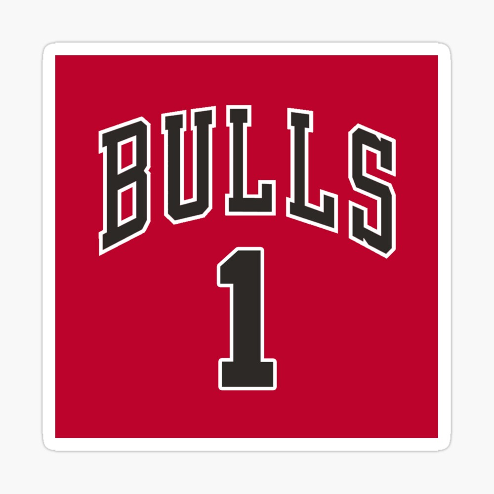 Derrick Rose Chicago Bulls Jersey Backpack by SAYIDOWjpg