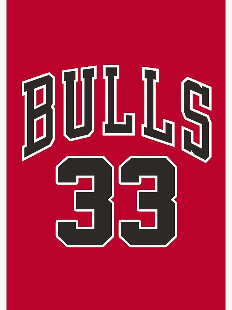 Chicago bulls best sale trikot pippen