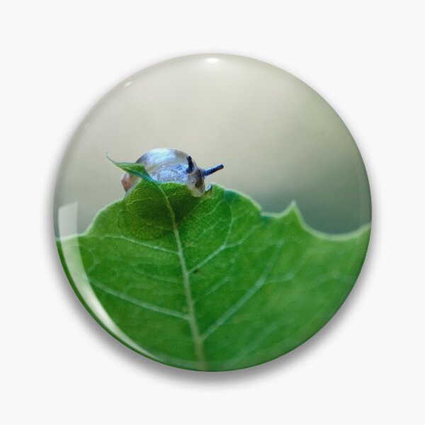 Item preview, Concured leaf. Copse snail designed and sold by Jouko Lehto Photography.