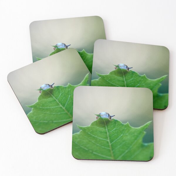 Item preview, Concured leaf. Copse snail designed and sold by Jouko Lehto Photography.