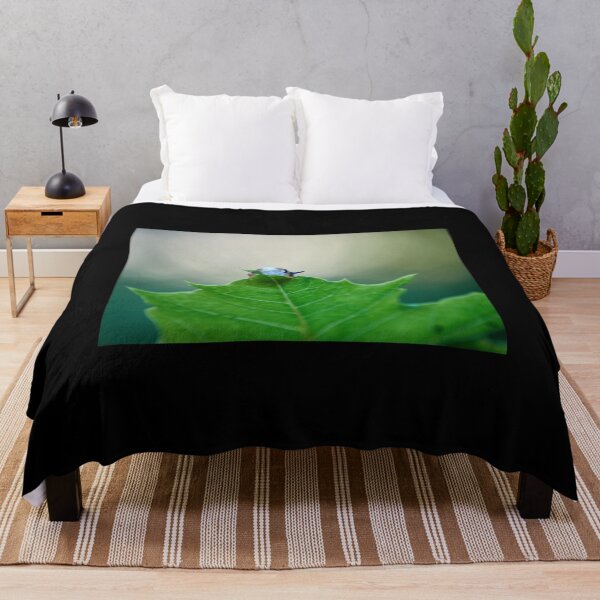 Item preview, Concured leaf. Copse snail designed and sold by Jouko Lehto Photography.