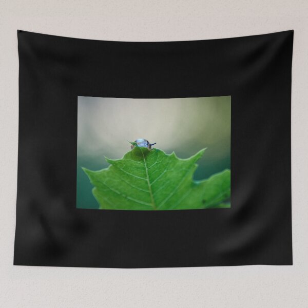 Item preview, Concured leaf. Copse snail designed and sold by Jouko Lehto Photography.