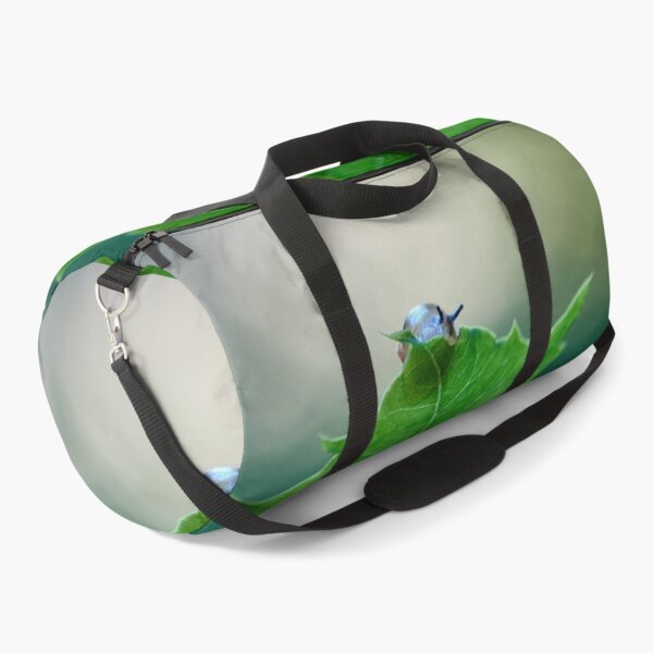 Item preview, Concured leaf. Copse snail designed and sold by Jouko Lehto Photography.
