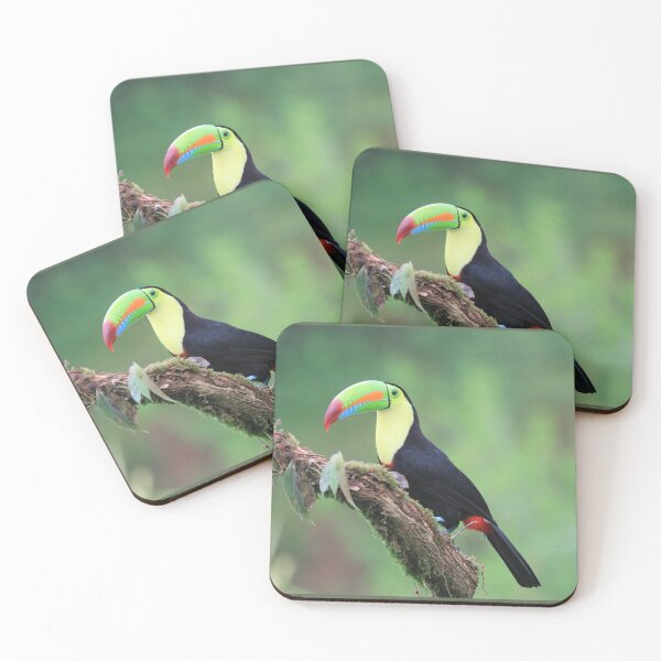 Item preview, Toucan designed and sold by JoseAndresRojas.