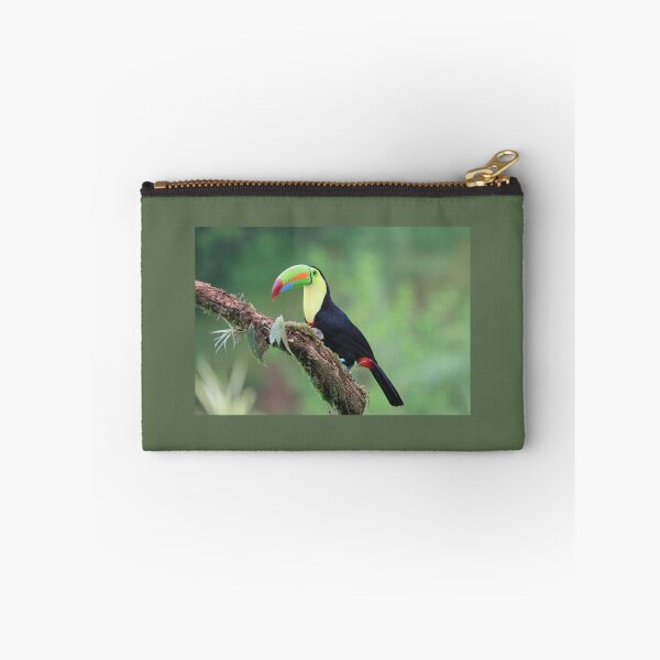 Item preview, Toucan designed and sold by JoseAndresRojas.