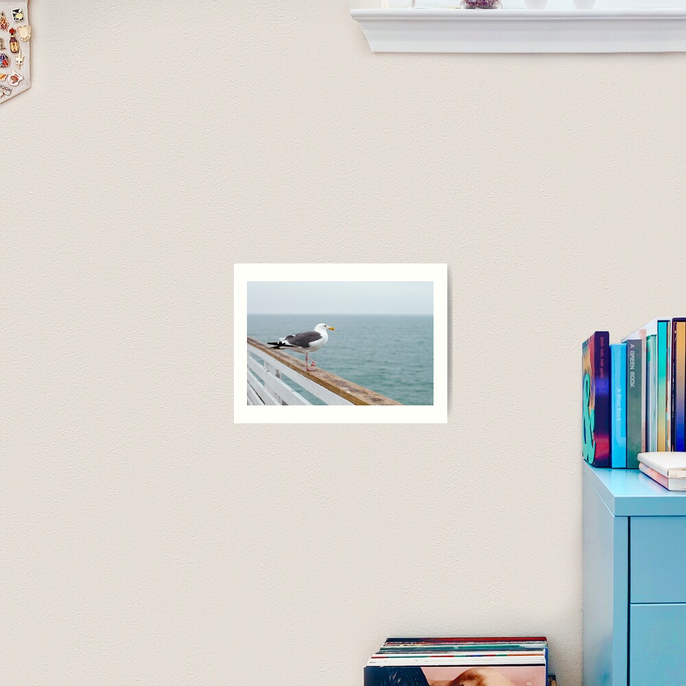Gaviota Art Print