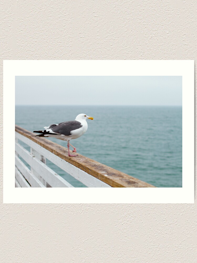 Alternate view of Gaviota Art Print