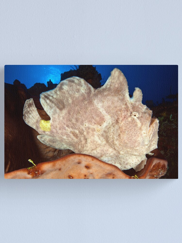 Alternate view of Frog on the reef Canvas Print