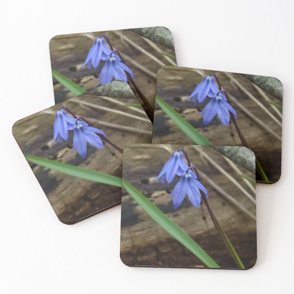 Item preview, Wildflowers designed and sold by J Rier Photography.