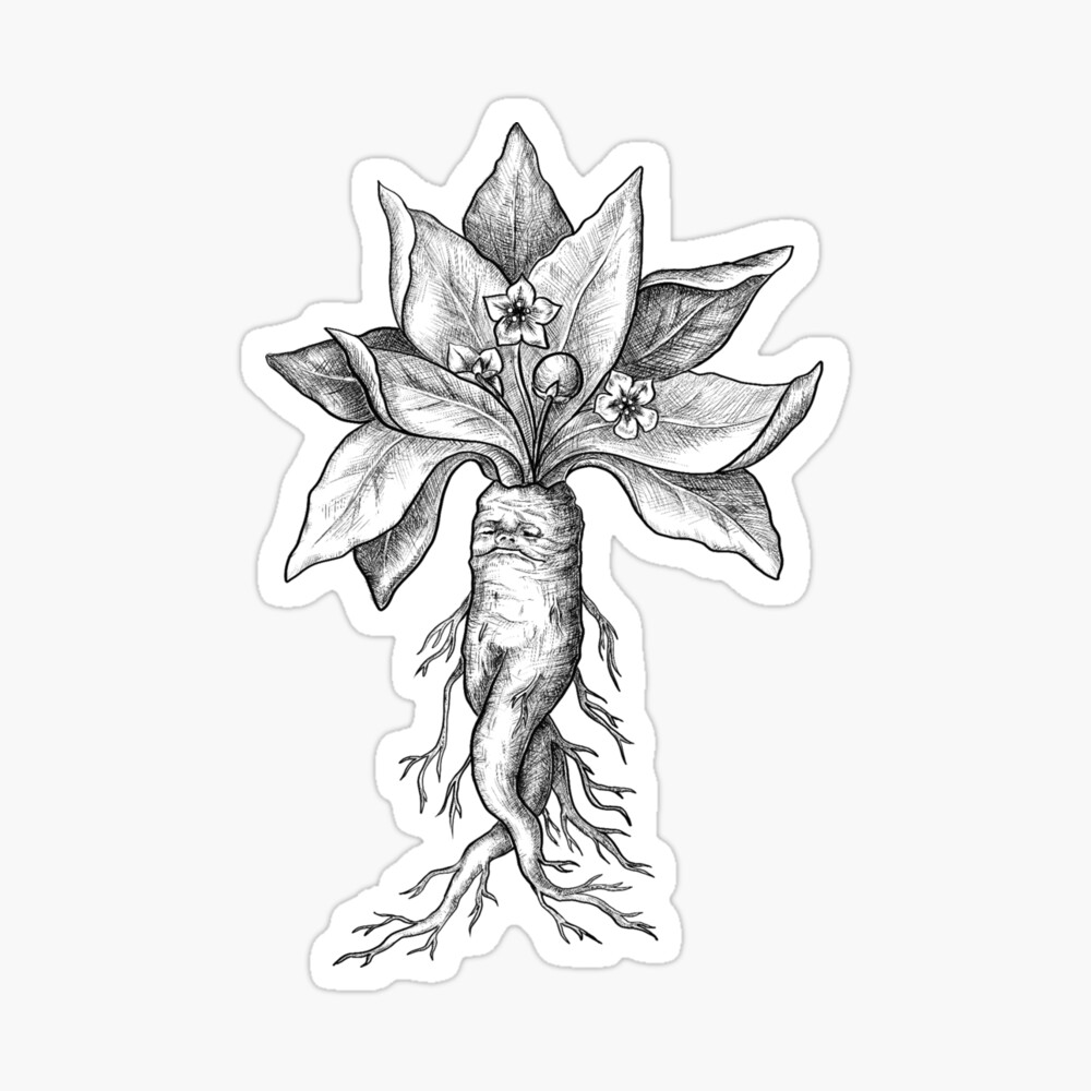 Dibujos para colorear mandrake 