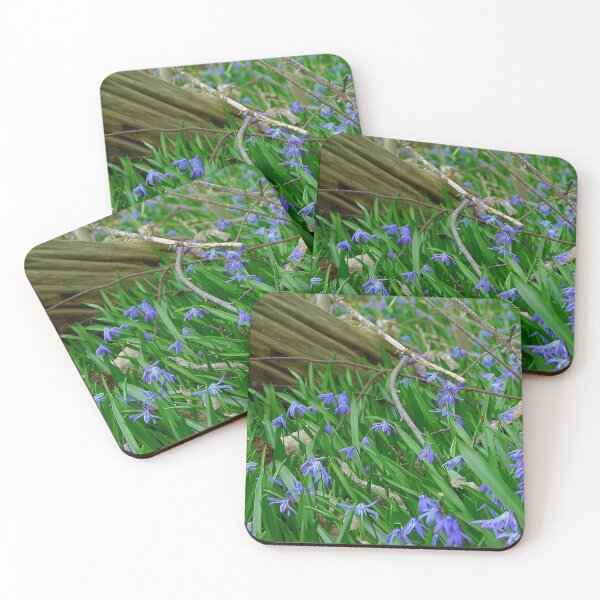 Item preview, Wildflowers panoramic designed and sold by J Rier Photography.