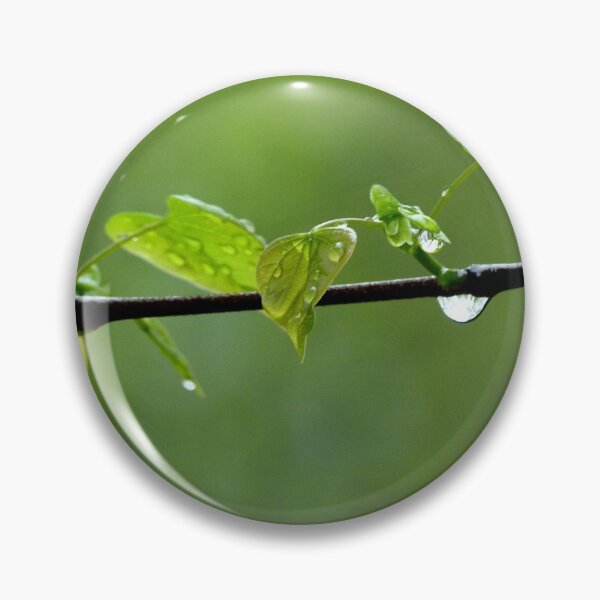 Artikelvorschau, Spring leaves entworfen und verkauft von J Rier Photography.