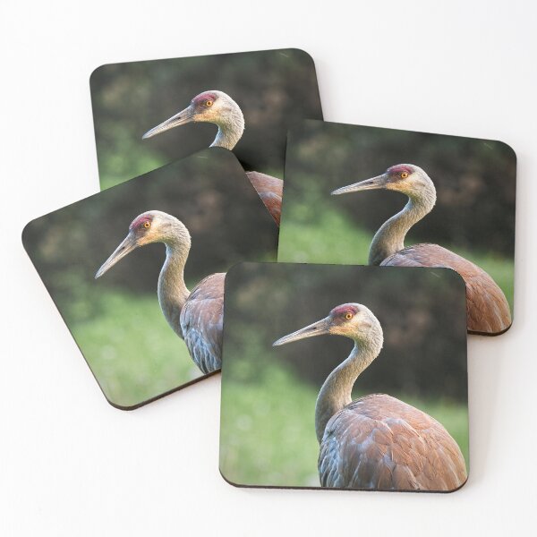 Item preview, Sandhill Crane 4 designed and sold by StevenRalserPhoto.