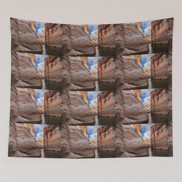 Item preview, USA. Arizona. Lake Powell. Narrow Passage. designed and sold by vadim19.