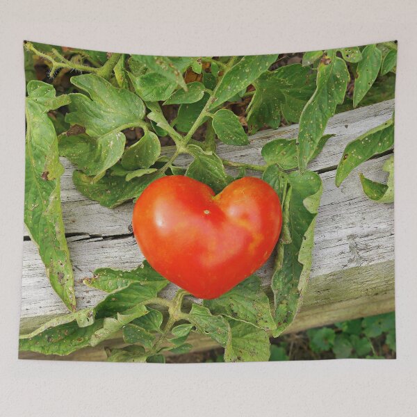 Artikelvorschau, Herzförmige Tomate entworfen und verkauft von Frankie Cat Photography.