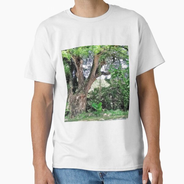 Item preview, Old Acacia Tree designed and sold by doodle3Dandy.