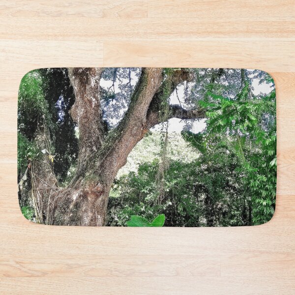 Item preview, Old Acacia Tree designed and sold by doodle3Dandy.