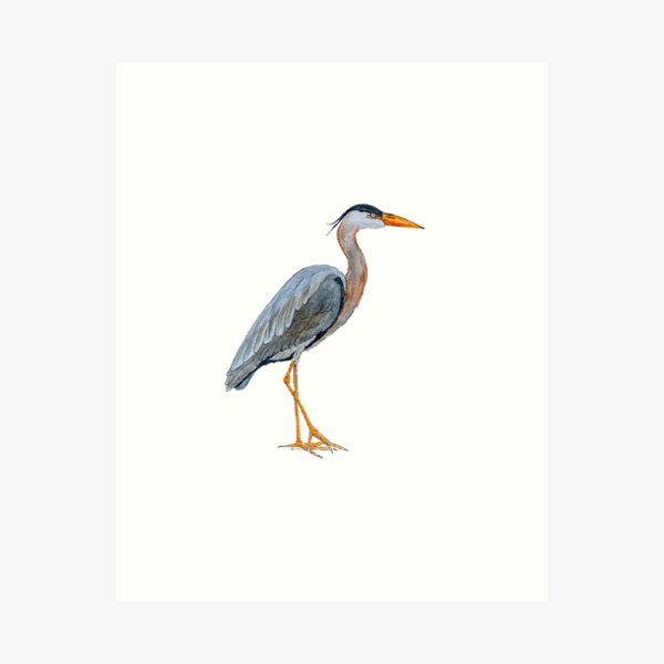 Item preview, Grey Heron designed and sold by DbeeRobinson.