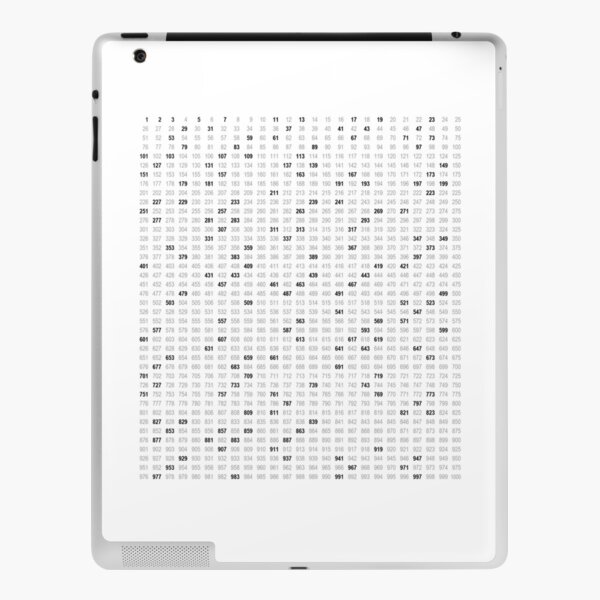 Prime Numbers iPad Skin