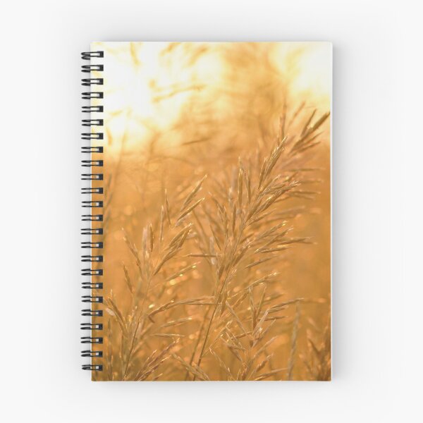 Item preview, Golden Hue designed and sold by KTrott-Photos.