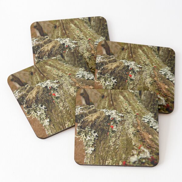 Item preview, British Soldiers designed and sold by J Rier Photography.
