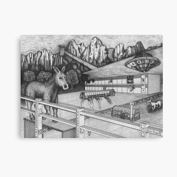 Horse Perspective Canvas Print