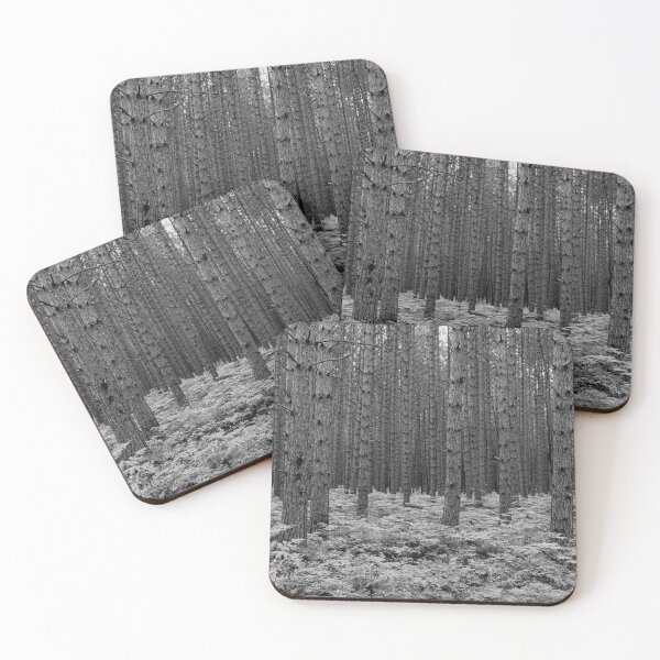 Item preview, Forestscape (B&W) designed and sold by J Rier Photography.