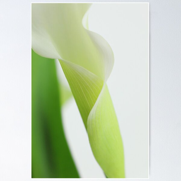 Item preview, Elegance designed and sold by Candy Gemmill.