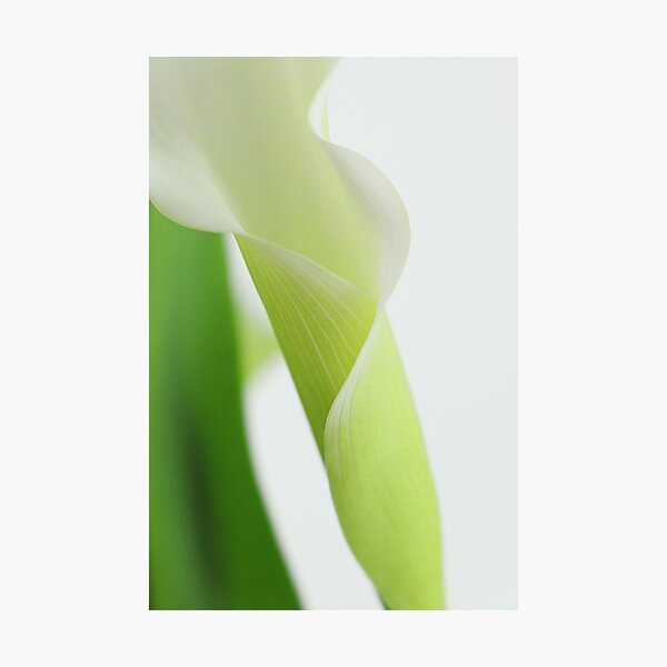 Item preview, Elegance designed and sold by Candy Gemmill.