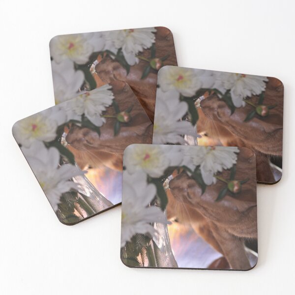 Item preview, Eli in My Peonies designed and sold by Kim McClain Gregal.