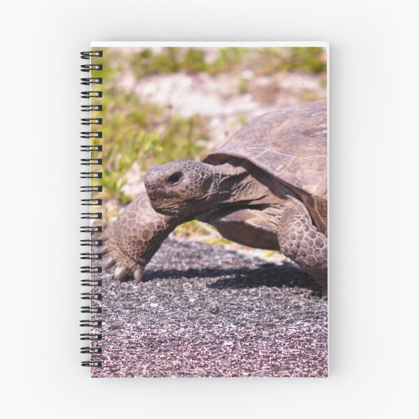 Item preview, Mr. Slow designed and sold by Kim McClain Gregal.