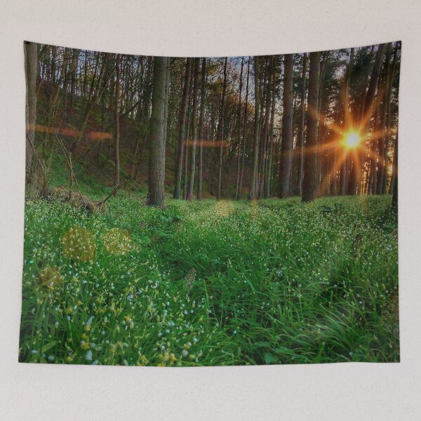 Item preview, On the banks of the River Tweed near St Boswells, Scottish Borders designed and sold by yourscotborders.