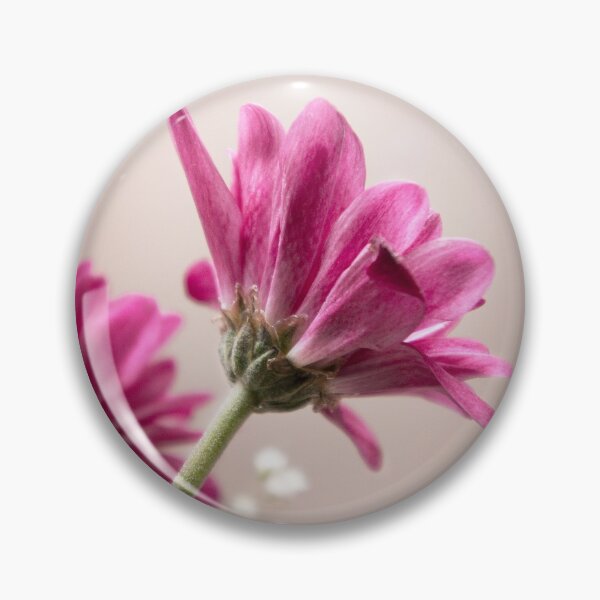Item preview, Daisies seen from the side designed and sold by fita.