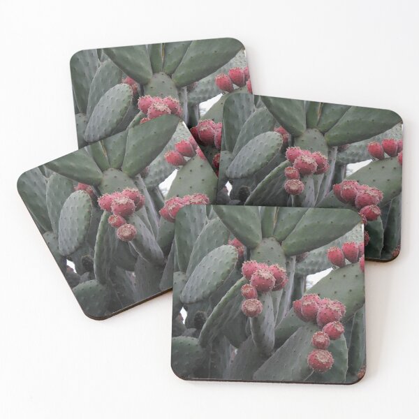 Item preview, Opuntia designed and sold by Clara Black Ink.