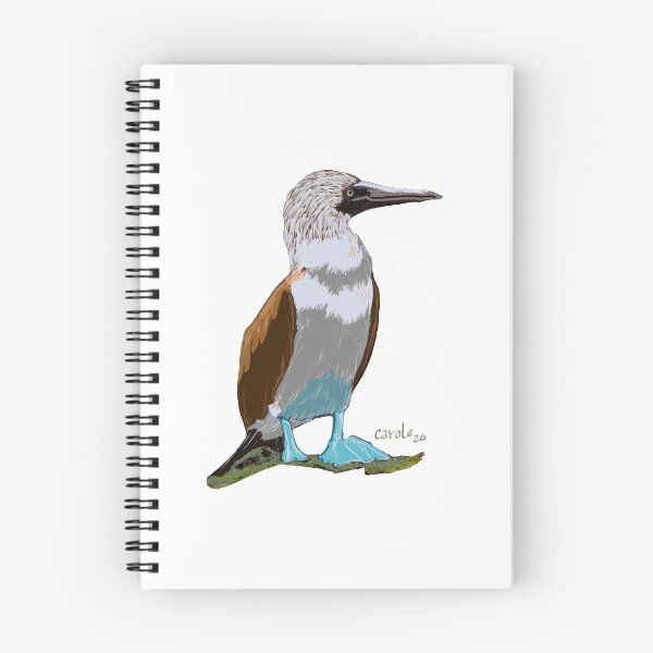 Item preview, Blue Footed Booby designed and sold by CaroleLynne.