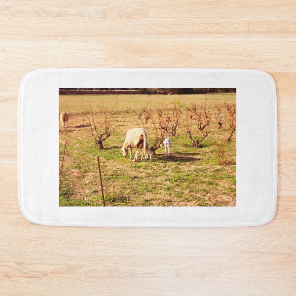 Item preview, mother goat with daughter goat graze quietly in the dry land of the Balearic islands in spain designed and sold by alessiapenny.